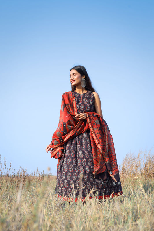 Madder Ajrakh Chanderi Silk Dupatta with mirror work